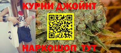 шишки Аргун