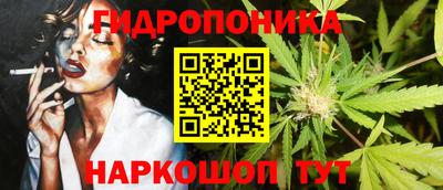 шишки Аргун