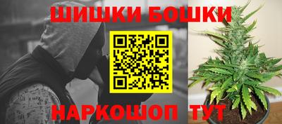 шишки Аргун