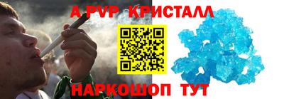 шишки Аргун