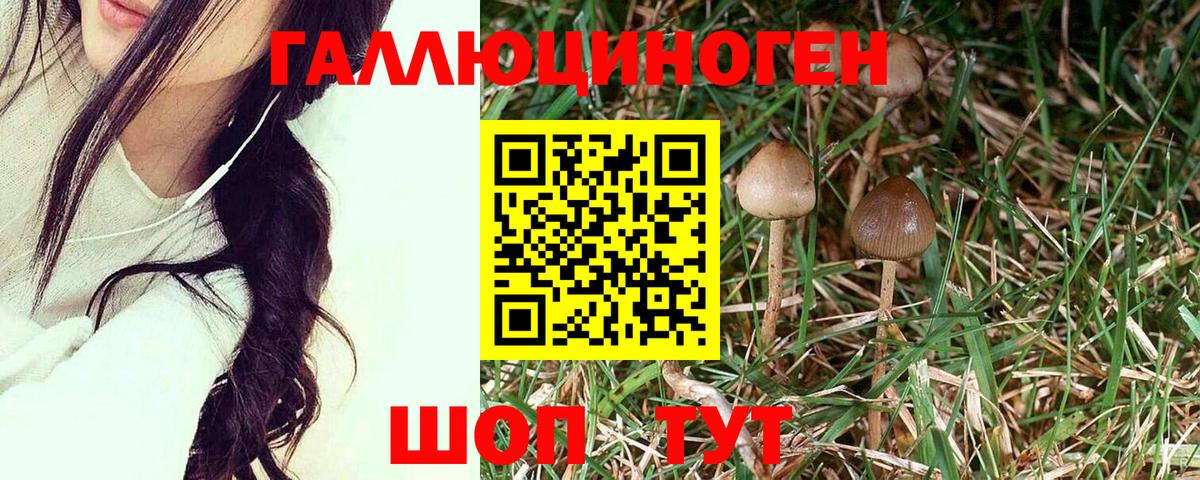 Галлюциногенные грибы мицелий  Вход с VPN  Ахтубинск 